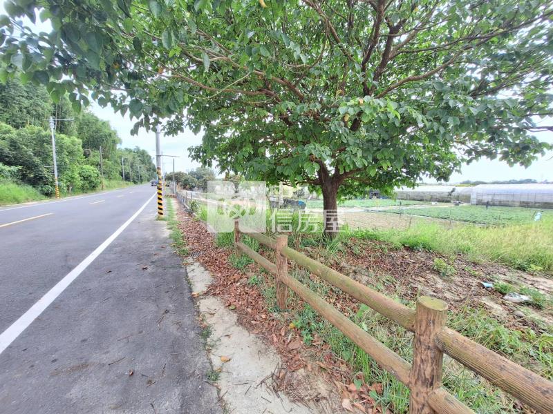 六甲12米路都內農地2房屋室內格局與周邊環境