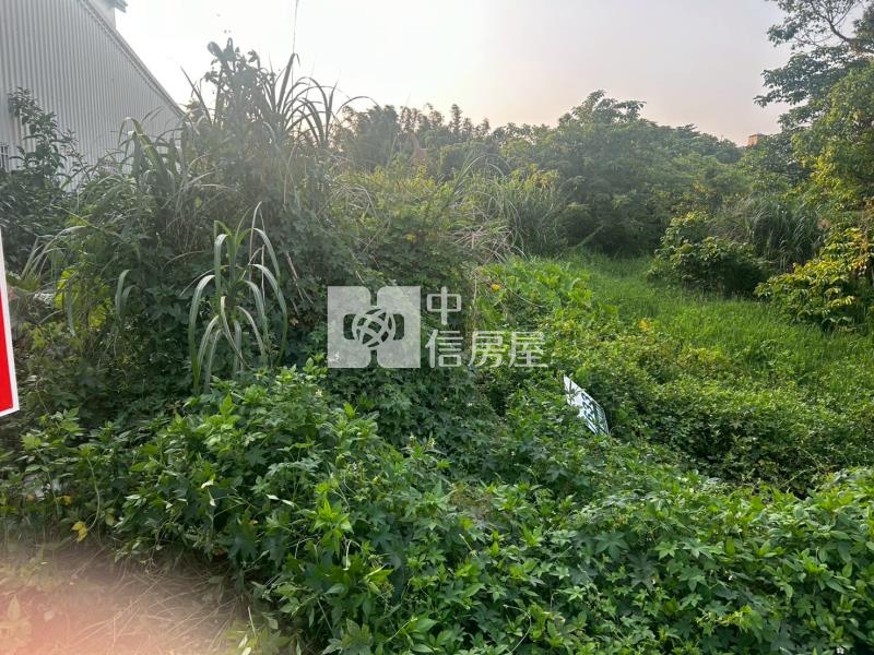 龍潭大池美農地房屋室內格局與周邊環境