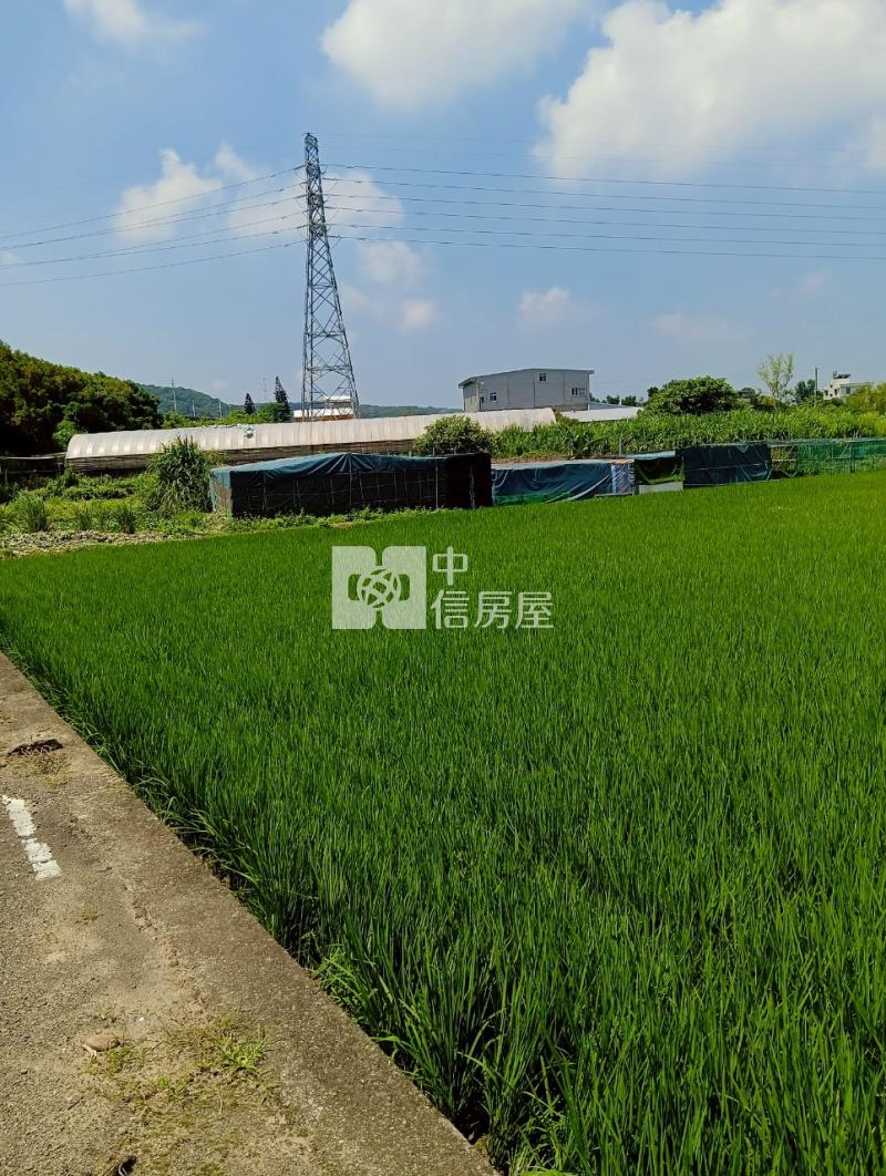 湖口台31長嶺段美農地房屋室內格局與周邊環境