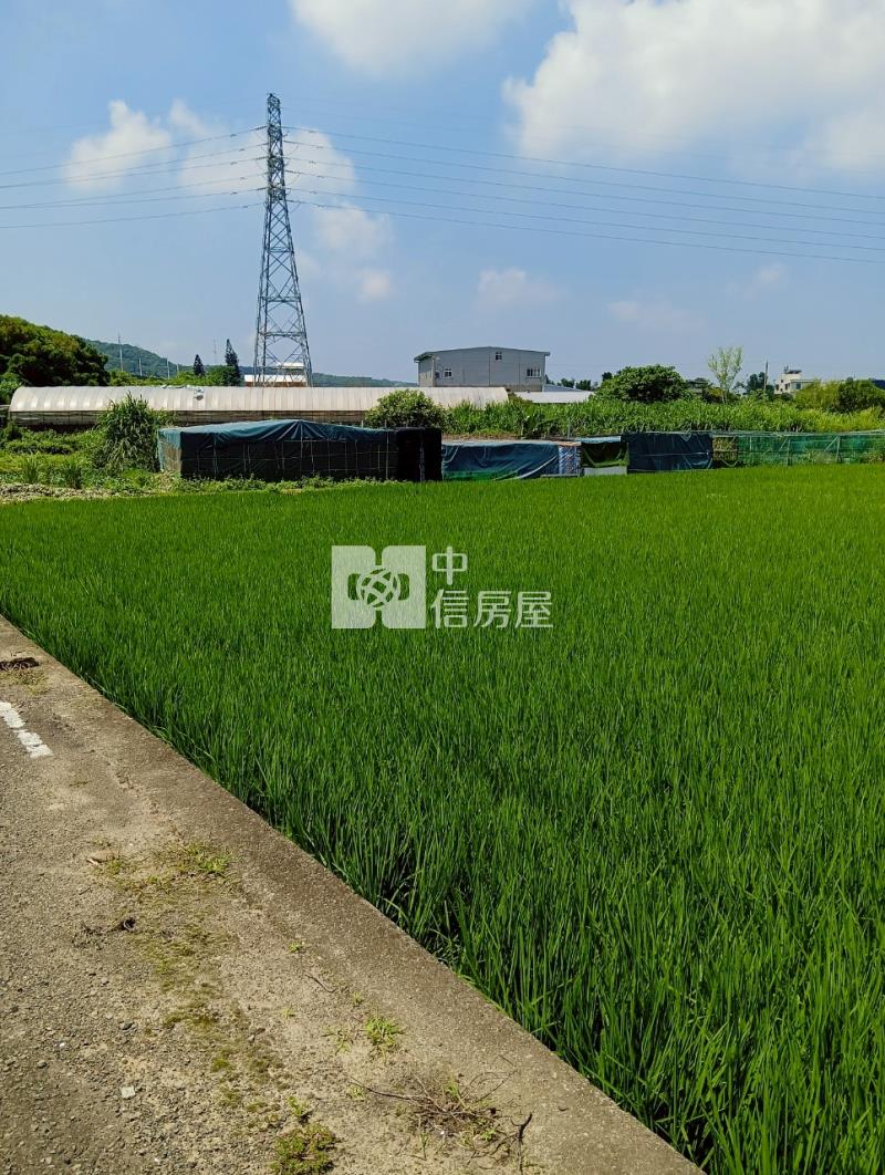 湖口台31長嶺段美農地房屋室內格局與周邊環境