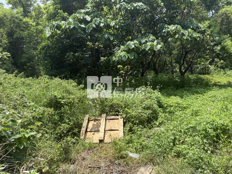 大溪20米路旁一般農房屋室內格局與周邊環境