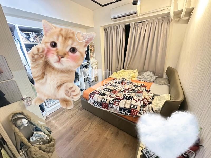 麗朵無限景觀大三房雙車房屋室內格局與周邊環境