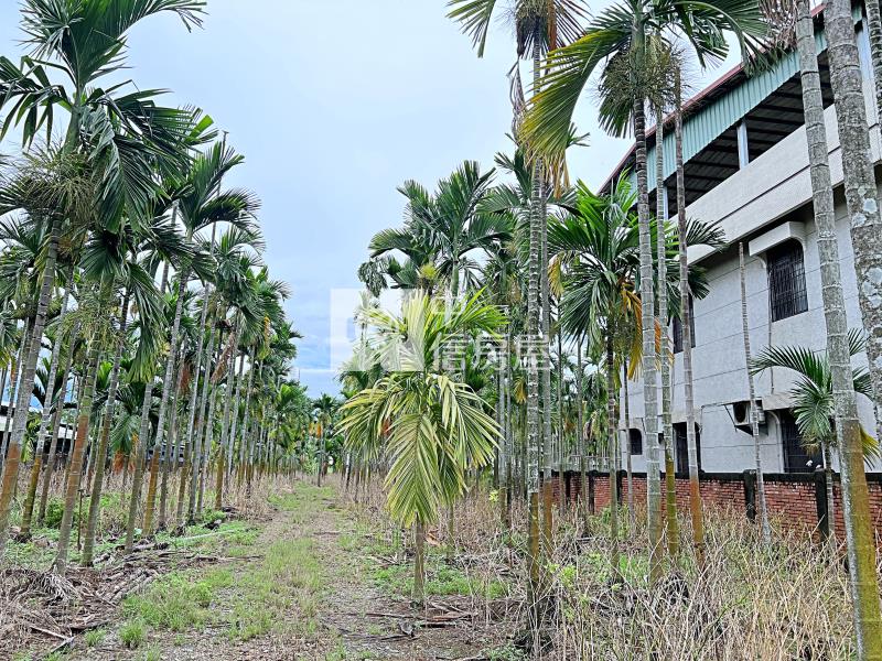 屏東土地《內埔飄香活巷都計農地》房屋室內格局與周邊環境