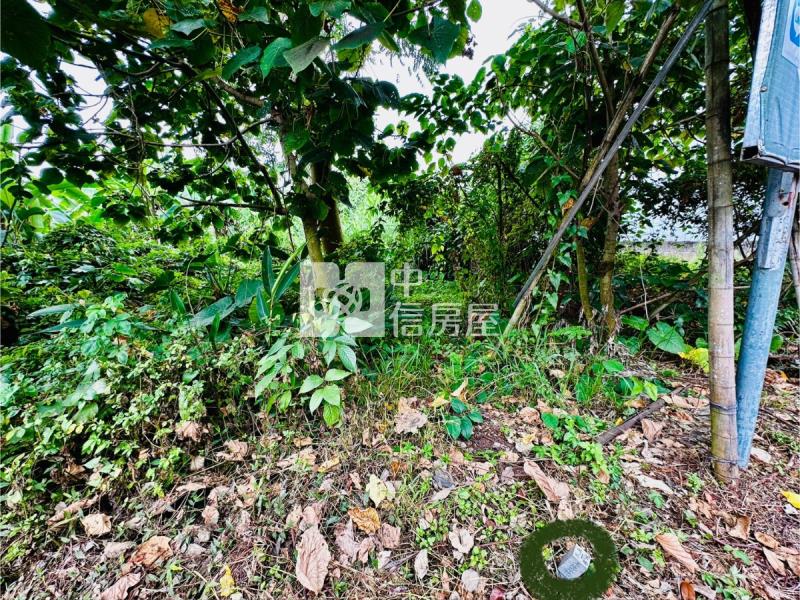 南投集集火車站旁土地房屋室內格局與周邊環境