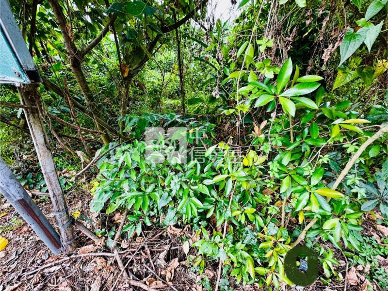 南投集集火車站旁土地房屋室內格局與周邊環境