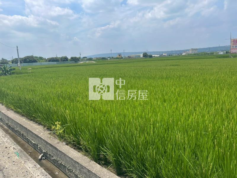 溪尾南段美農地房屋室內格局與周邊環境