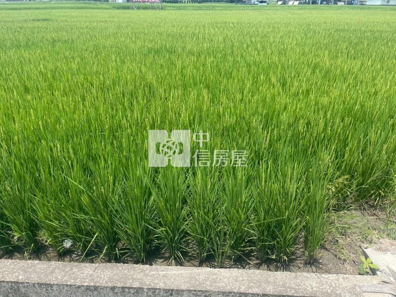 溪尾南段美農地房屋室內格局與周邊環境
