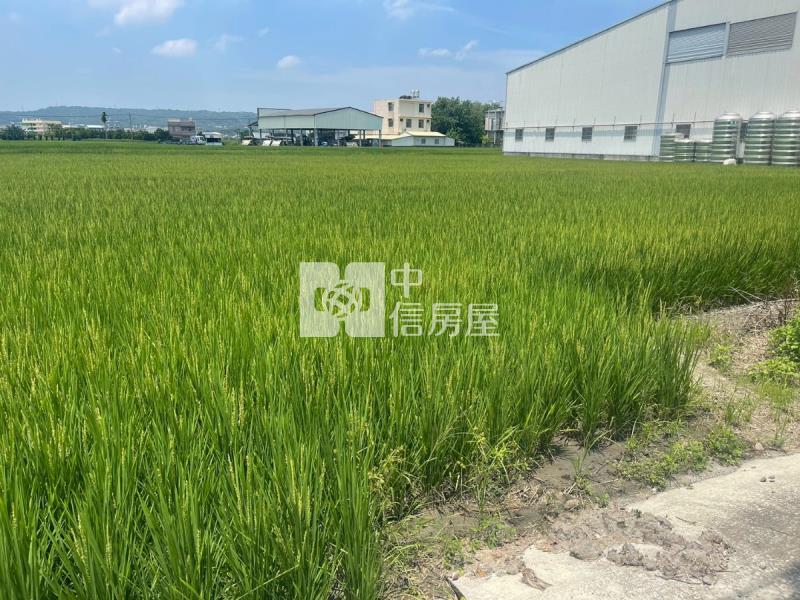 溪尾南段美農地房屋室內格局與周邊環境