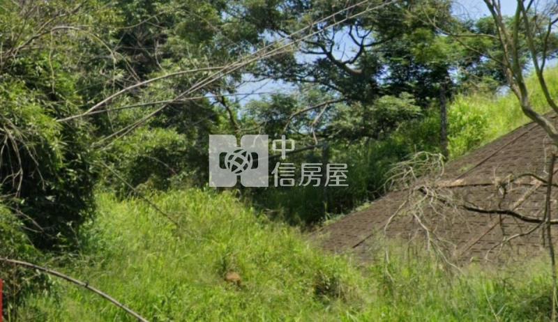 龍井龍新段持分保護區用地房屋室內格局與周邊環境