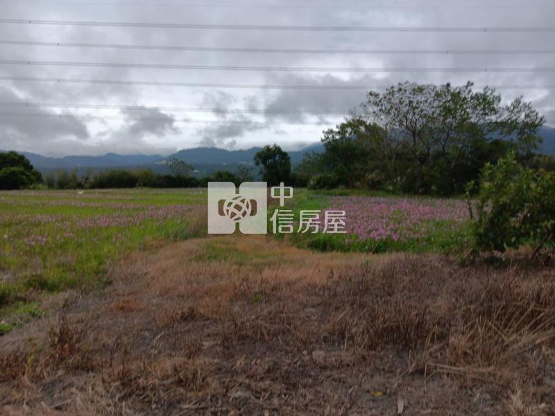 都計內農地送農舍房屋室內格局與周邊環境