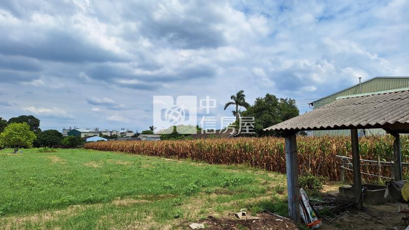 新市中信科大20米路面農地房屋室內格局與周邊環境
