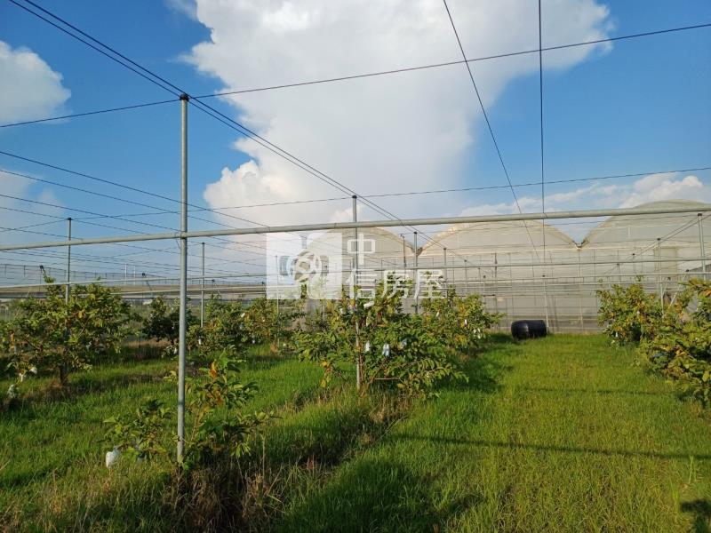 阿蓮近高鐵溫室美農地房屋室內格局與周邊環境