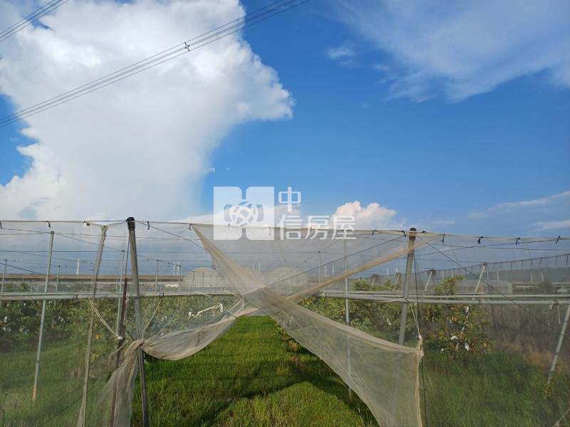 阿蓮近高鐵溫室美農地房屋室內格局與周邊環境