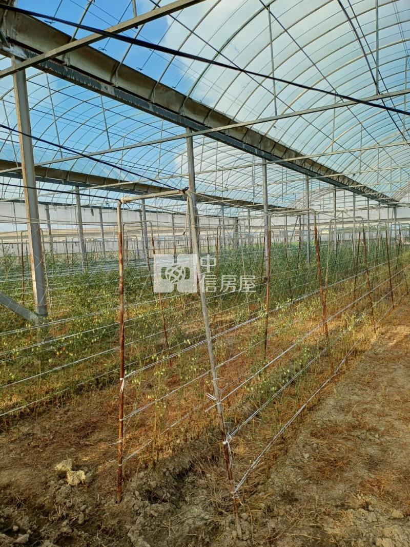 阿蓮近高鐵溫室美農地房屋室內格局與周邊環境