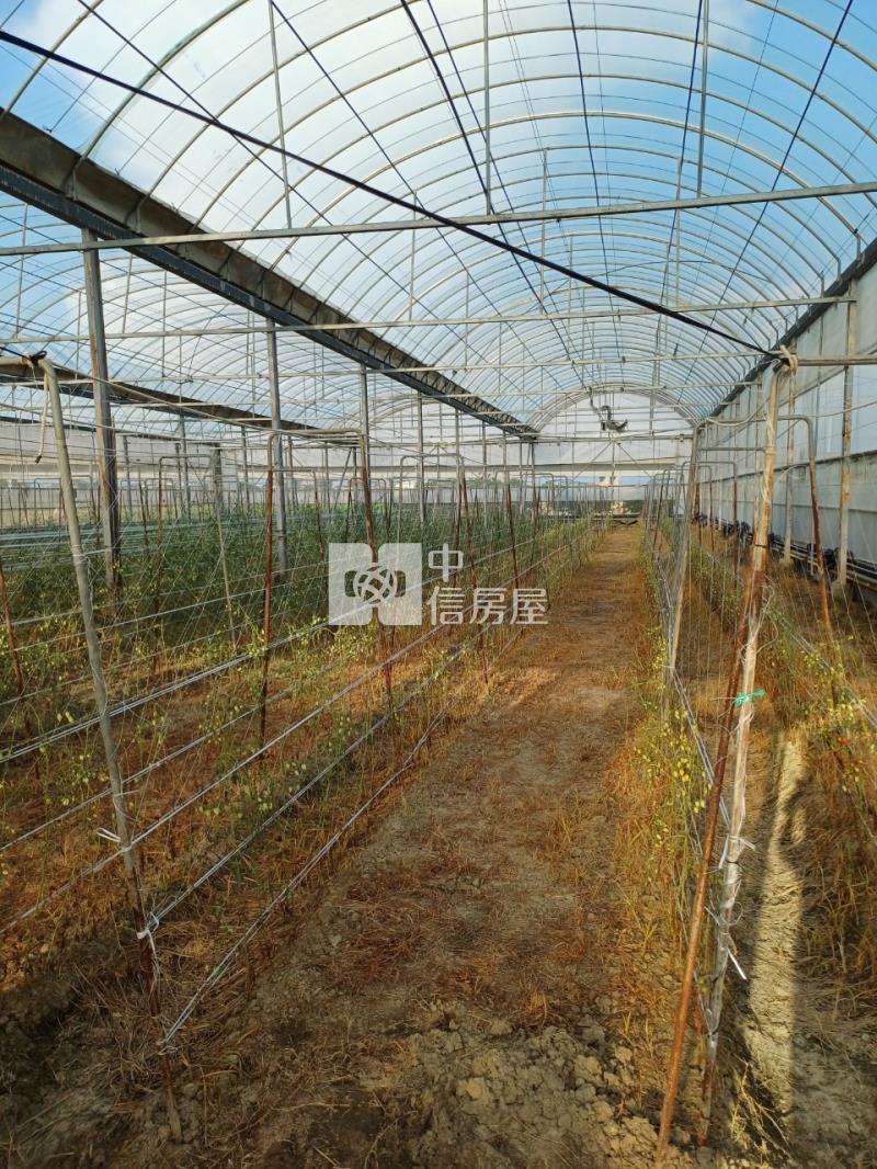 阿蓮近高鐵溫室美農地房屋室內格局與周邊環境