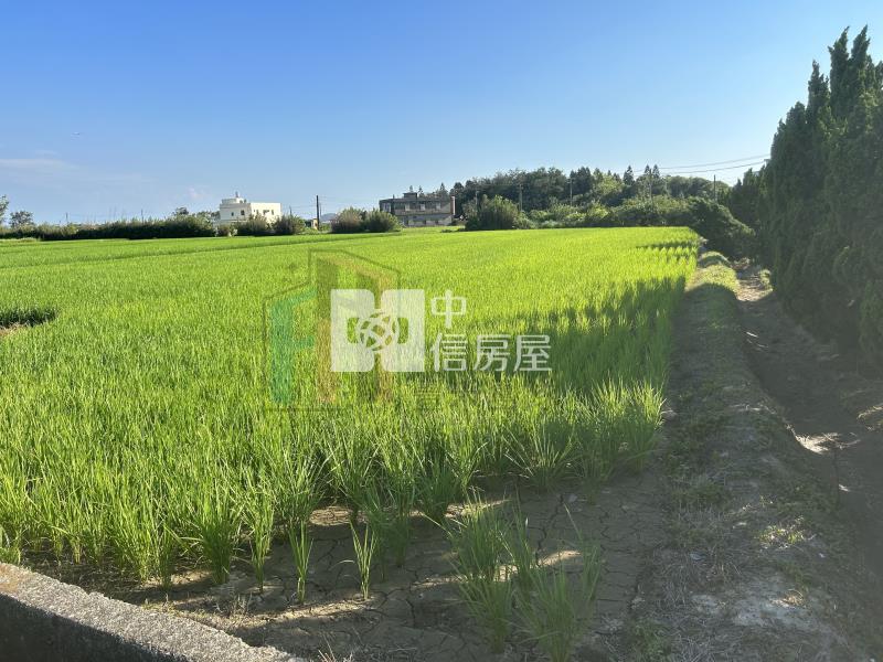【豐禾】觀音大潭美農地房屋室內格局與周邊環境