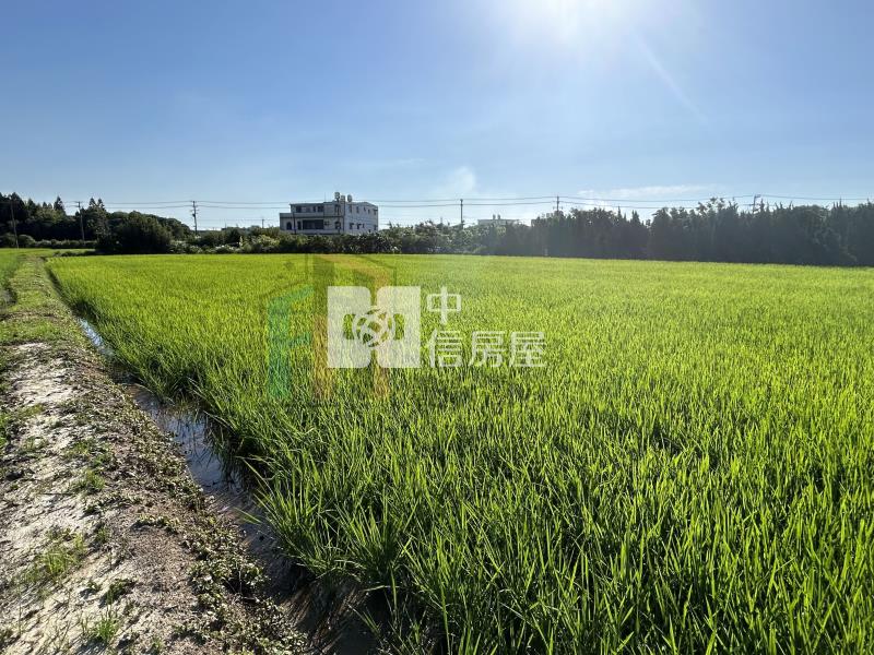 【豐禾】觀音大潭美農地房屋室內格局與周邊環境