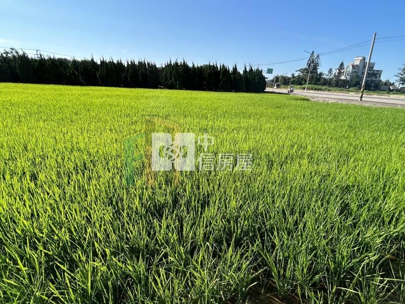 【豐禾】觀音大潭美農地房屋室內格局與周邊環境