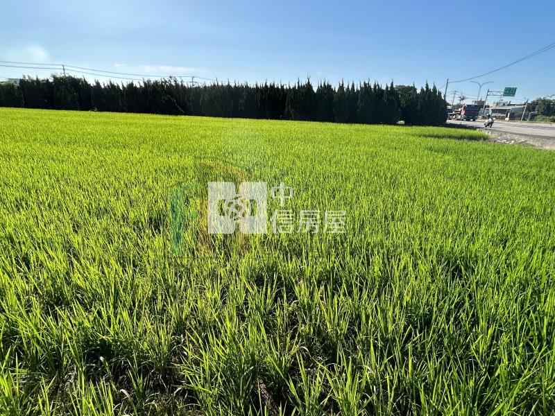 【豐禾】觀音大潭美農地房屋室內格局與周邊環境