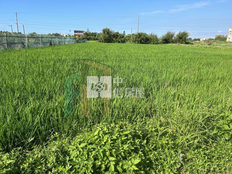 【豐禾】觀音三座屋美農地房屋室內格局與周邊環境