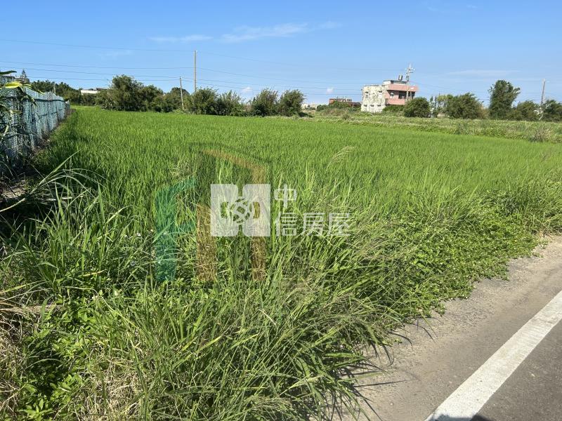 【豐禾】觀音三座屋美農地房屋室內格局與周邊環境