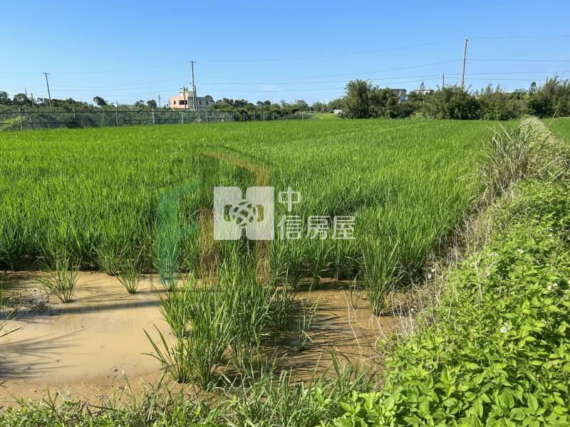 【豐禾】觀音三座屋美農地房屋室內格局與周邊環境