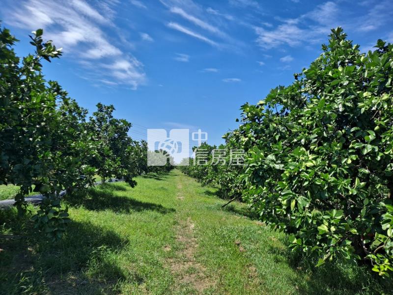 麻善大橋果園房屋室內格局與周邊環境