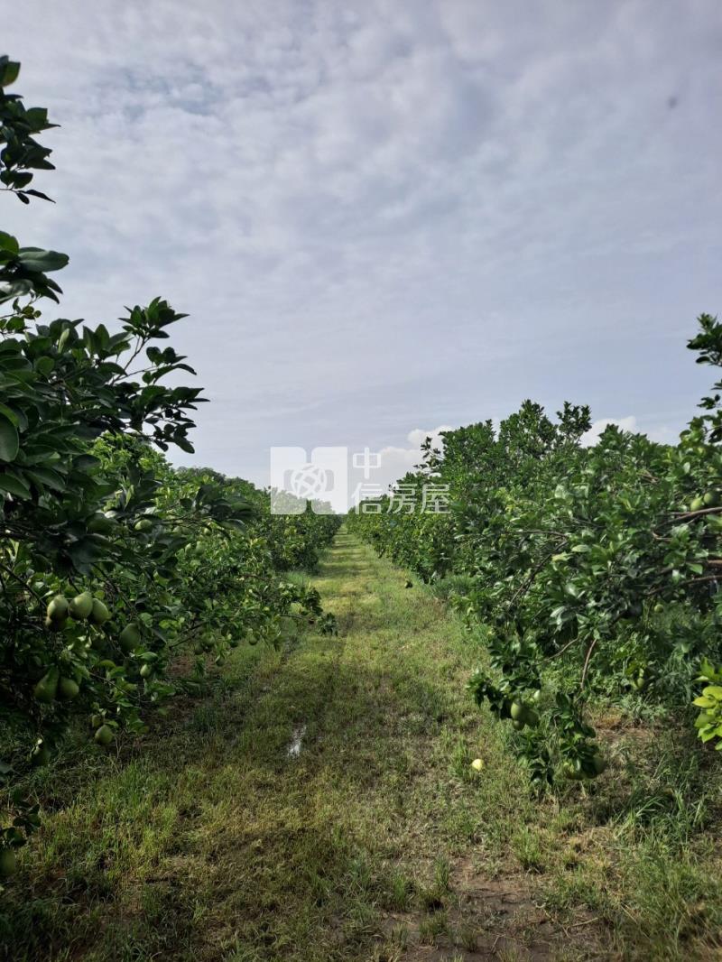 麻善大橋果園房屋室內格局與周邊環境