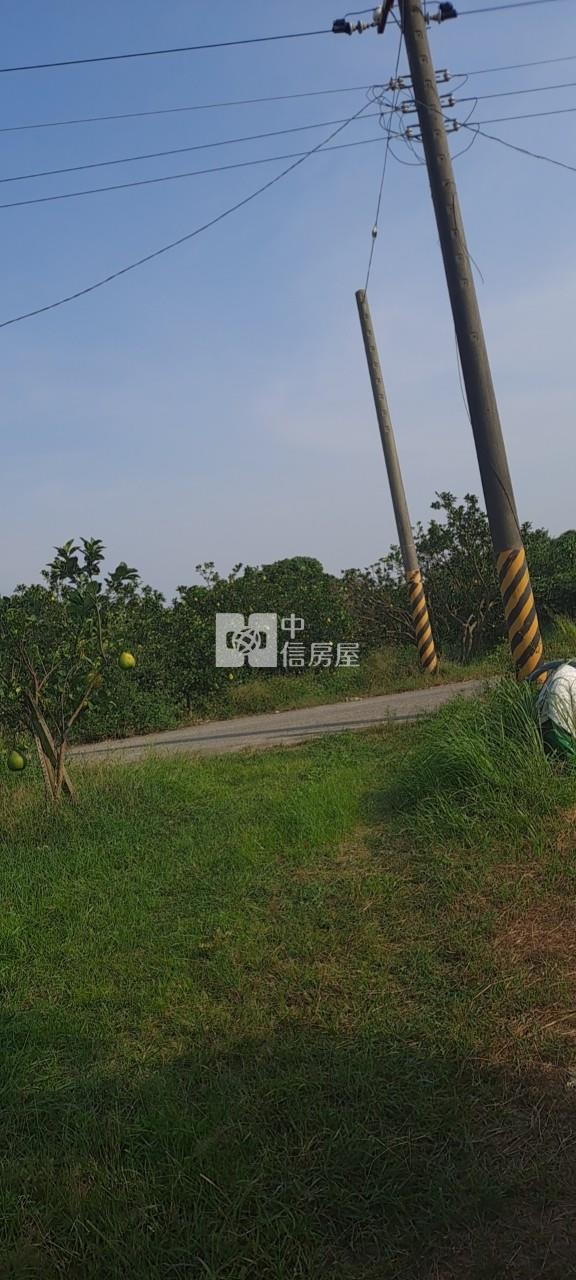 麻善大橋果園房屋室內格局與周邊環境