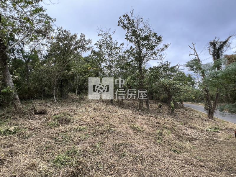 苗栗通霄便宜美農地房屋室內格局與周邊環境
