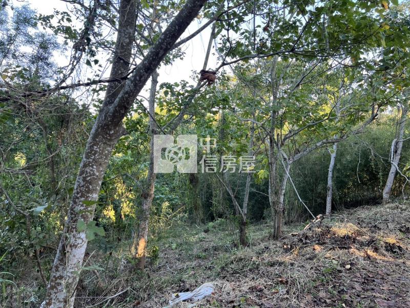 苗栗通霄便宜美農地房屋室內格局與周邊環境
