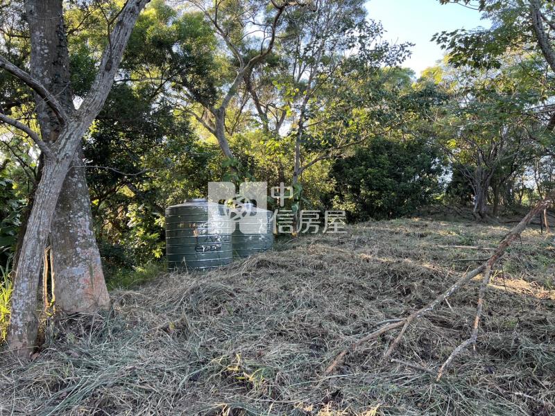 苗栗通霄便宜美農地房屋室內格局與周邊環境