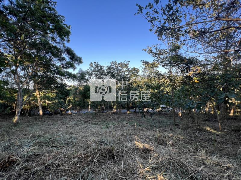 苗栗通霄便宜美農地房屋室內格局與周邊環境