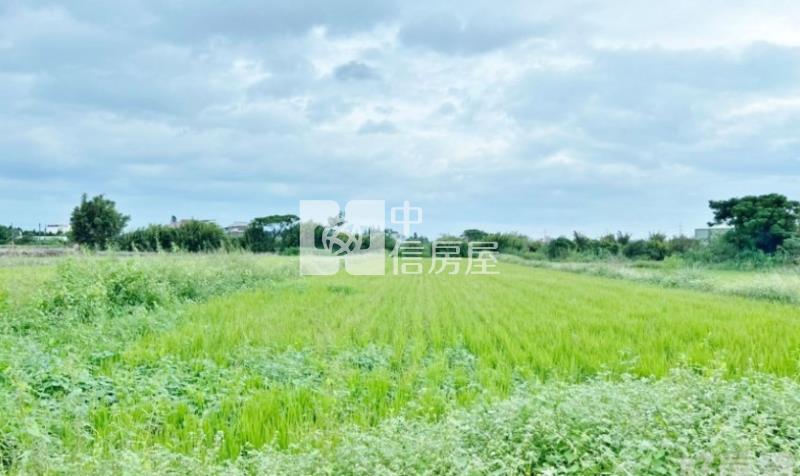 新屋後湖小段方正農地房屋室內格局與周邊環境