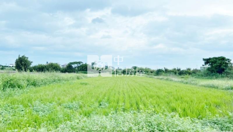 新屋後湖小段方正農地房屋室內格局與周邊環境