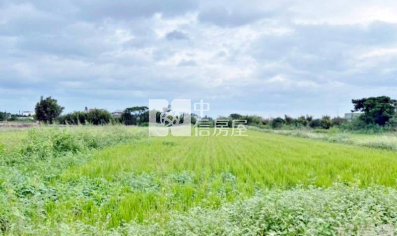 新屋後湖小段方正農地房屋室內格局與周邊環境