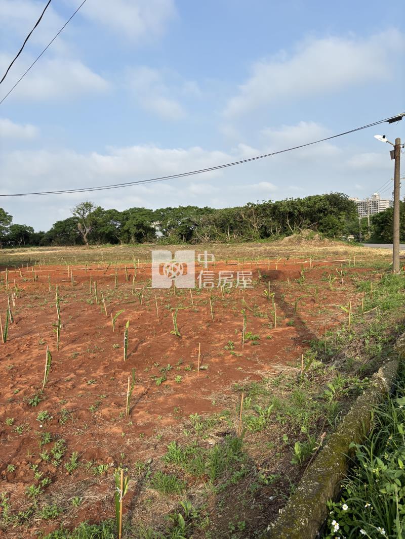 大園潮音國小合法農舍房屋室內格局與周邊環境