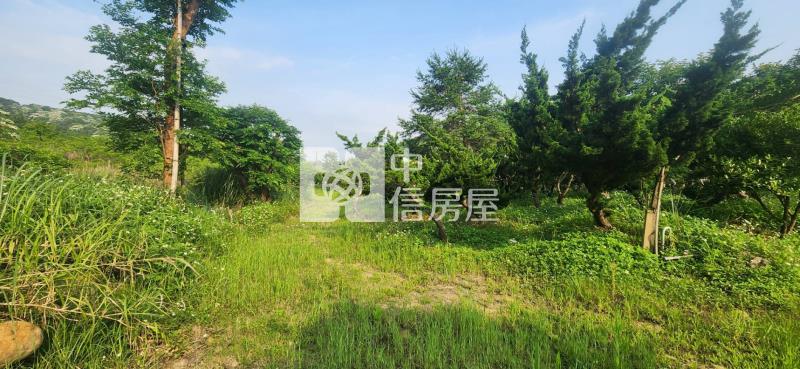 湖口長安球場旁大面寬一般農房屋室內格局與周邊環境