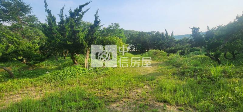 湖口長安球場旁大面寬一般農房屋室內格局與周邊環境