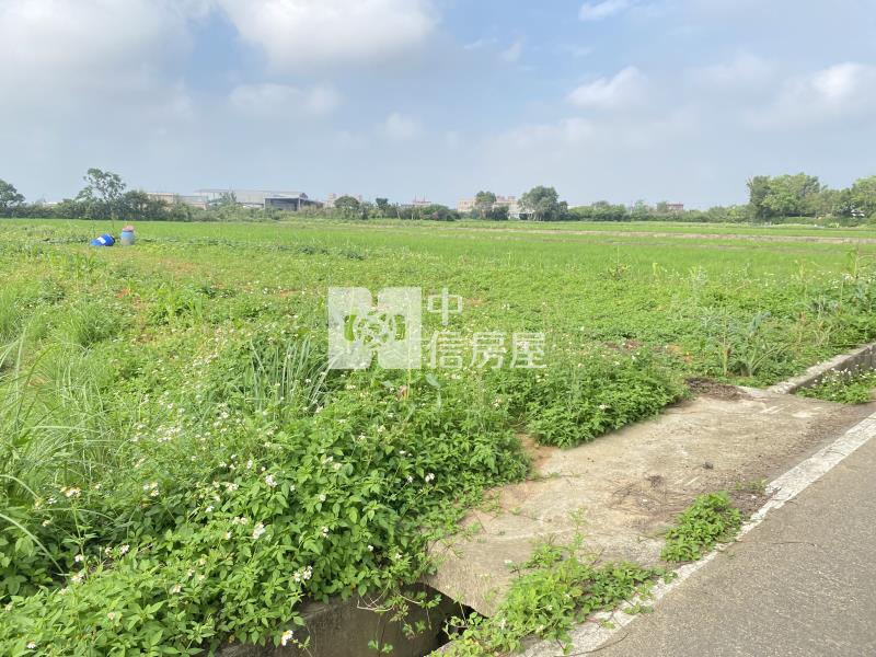 觀音育仁段方正美農地房屋室內格局與周邊環境