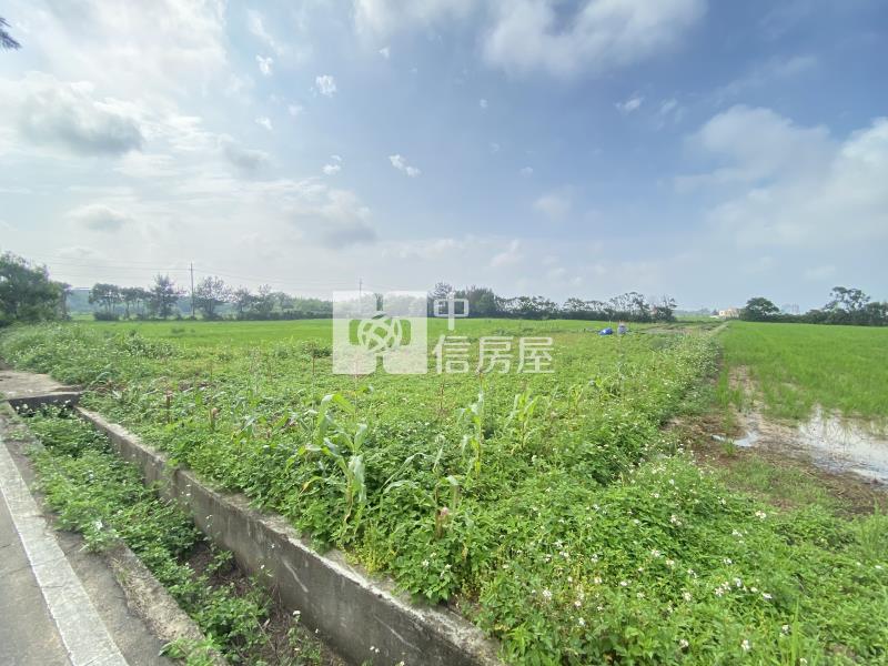 觀音育仁段方正美農地房屋室內格局與周邊環境