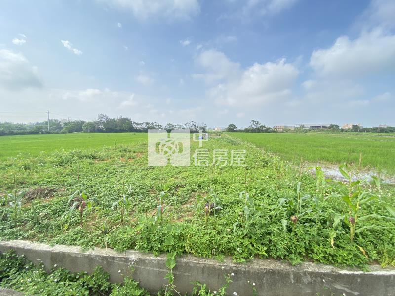 觀音育仁段方正美農地房屋室內格局與周邊環境