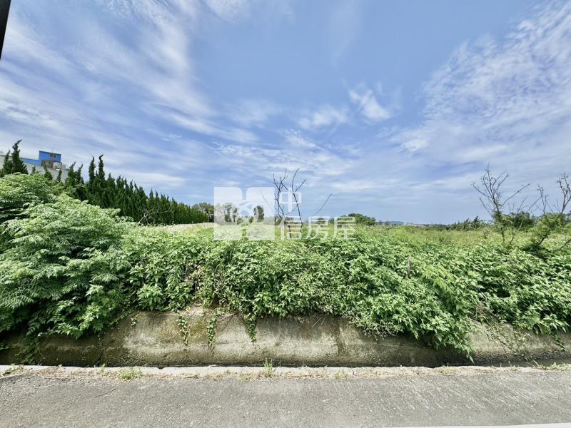 近61西部濱海快速公路一般農房屋室內格局與周邊環境