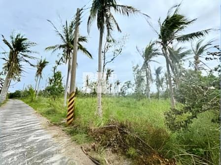 台東土地-台東風景區農牧用地房屋室內格局與周邊環境
