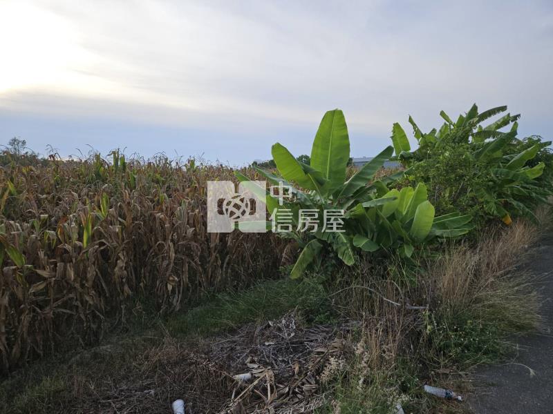 管寮方正農地房屋室內格局與周邊環境