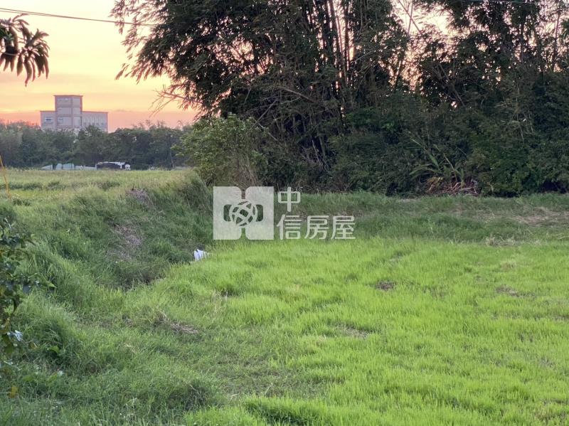 【新世紀】富岡上湖國小附近美農地房屋室內格局與周邊環境