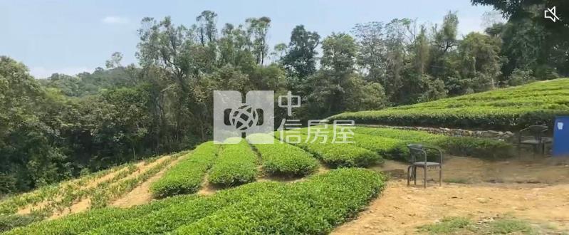 龍潭收租節稅農地房屋室內格局與周邊環境
