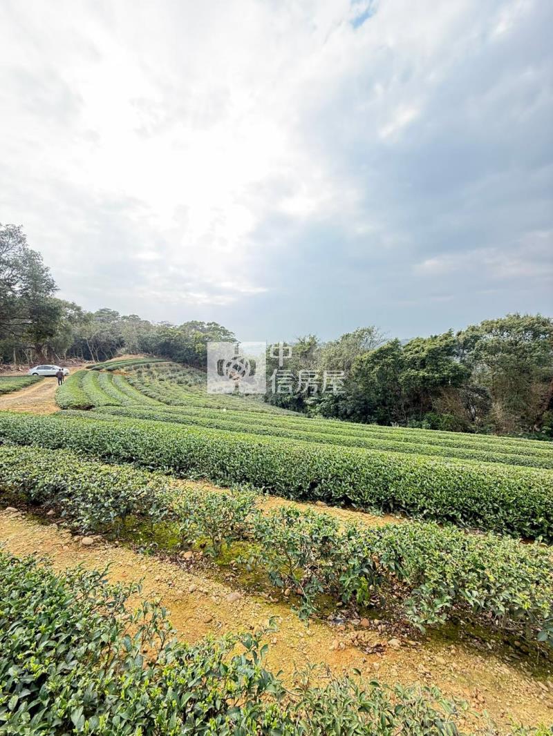 龍潭收租節稅農地房屋室內格局與周邊環境