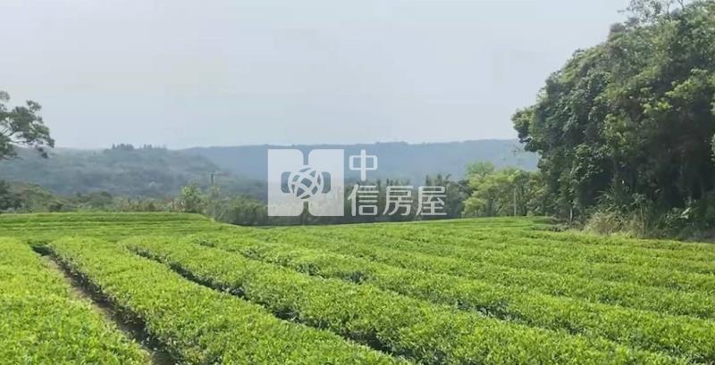 龍潭收租節稅農地房屋室內格局與周邊環境