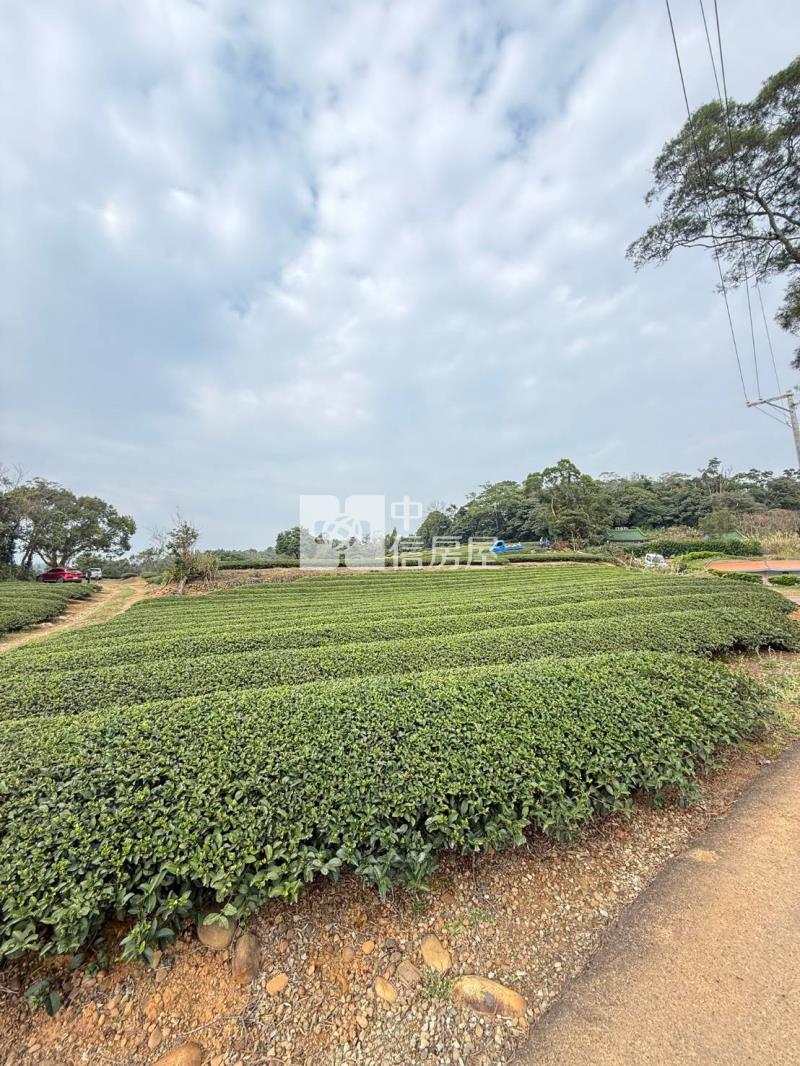 龍潭收租節稅農地房屋室內格局與周邊環境